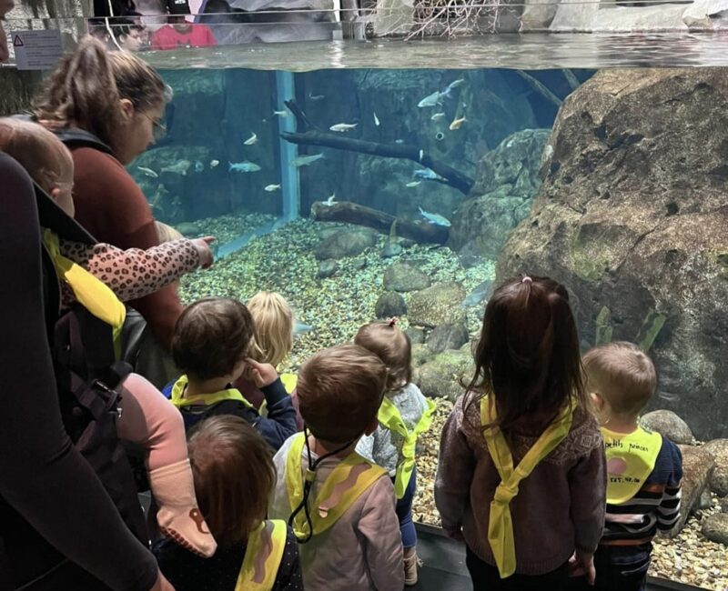 WhatsApp Image 2024-11-05 at 15.43.20 (2)