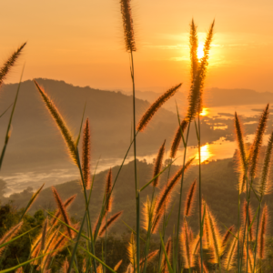 Recyclage créatif (9)